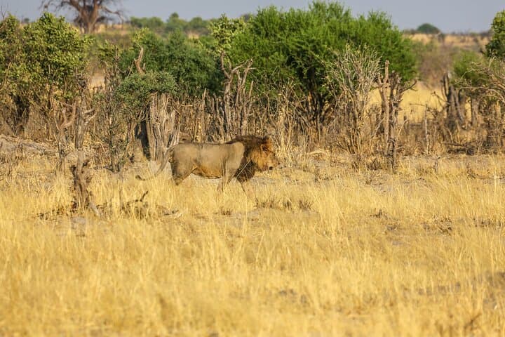 Private Windhoek Wildlife Expedition to Daan Viljoen Nature Reserve photo 3