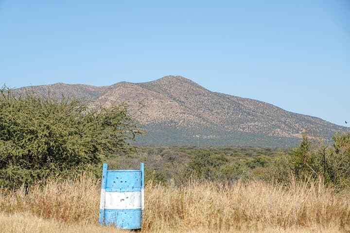 Private Windhoek Wildlife Expedition to Daan Viljoen Nature Reserve photo 5