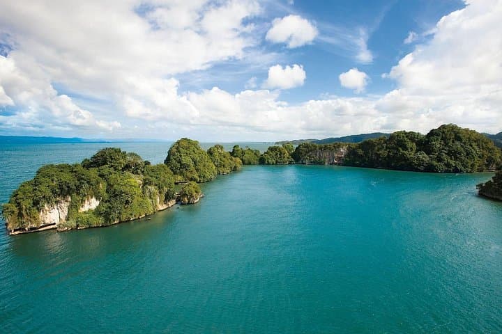Exploring Los Haitises National Park: Full-Day Mangrove, Cave & Wildlife Tour from Punta Cana photo 4
