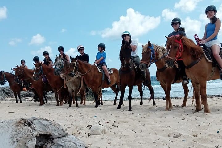 Aruba Ecological Beach Horseback Ride — Desert Trails to Turquoise Shoreline photo 5