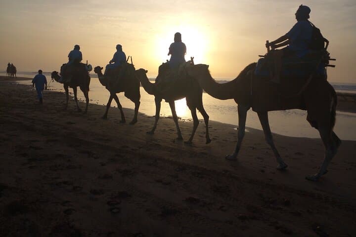 Essaouira Quad and Dromedary Combo: Ride Dunes, Beach and Argan Forests at Sunset photo 4