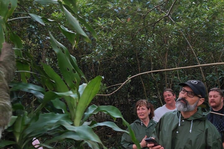 Bijagua Private Cocoa, Sloth & Frog Watching Tour — Wildlife & Farm Visit photo 3