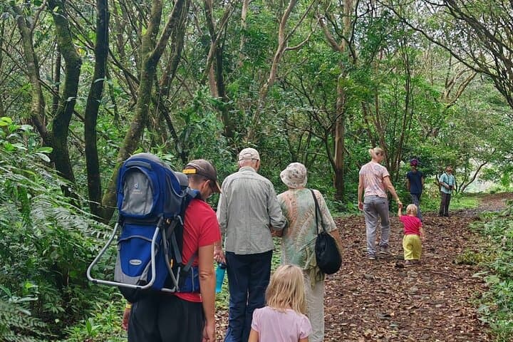Bijagua Private Cocoa, Sloth & Frog Watching Tour — Wildlife & Farm Visit photo 4