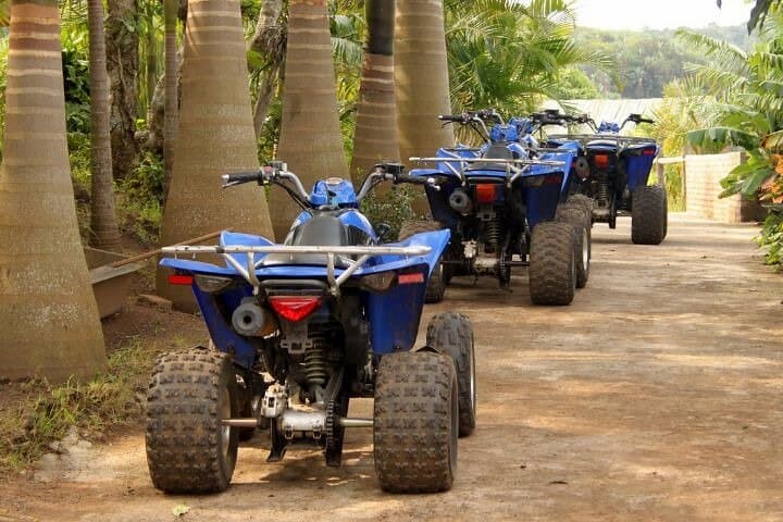 Agadir Quad Biking: Argan Forest to Sand Dunes Adventure photo 5