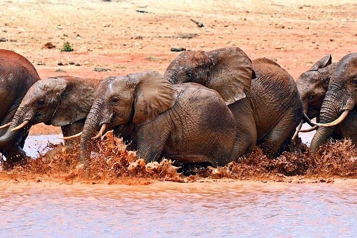 Private Overnight Masai Mara Safari: 2-Day Wildlife Adventure from Nairobi photo 4