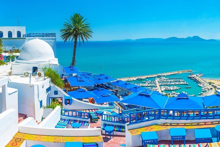 Full-Day Bardo, Carthage & Sidi Bou Said Private Tour from Tunis