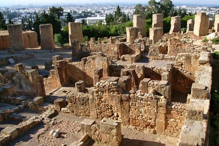 Full-Day Bardo, Carthage & Sidi Bou Said Private Tour from Tunis photo 4