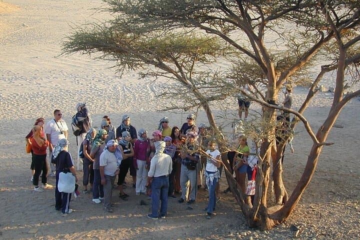 Dune Rush: Marsa Alam 3-Hour Quad and Camel Desert Tour photo 5