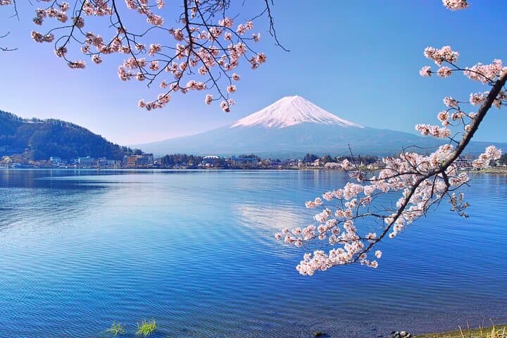 Private Customizable Tour of Mount Fuji: 10-Hour Flexible Day Trip photo 2