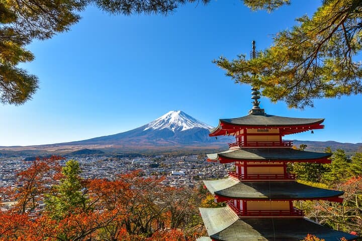 Private Customizable Tour of Mount Fuji: 10-Hour Flexible Day Trip