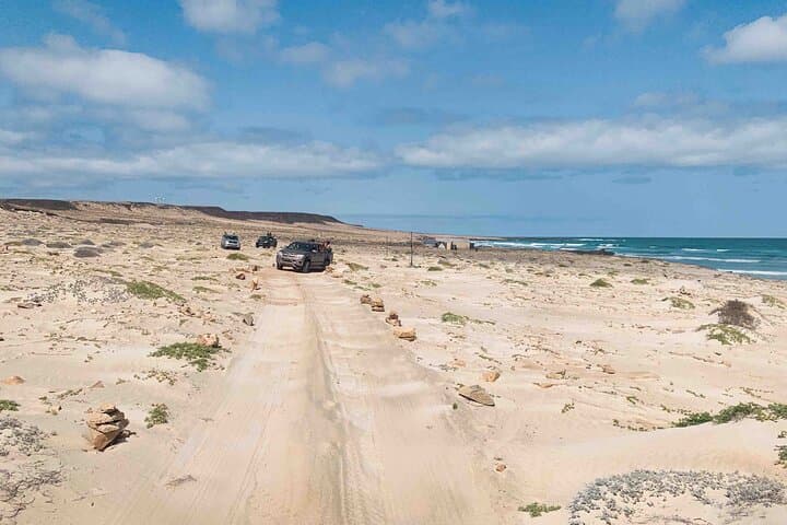 Half-Day North Adventure on Boa Vista Island: Sandboarding, Shipwrecks & Turtle Beaches