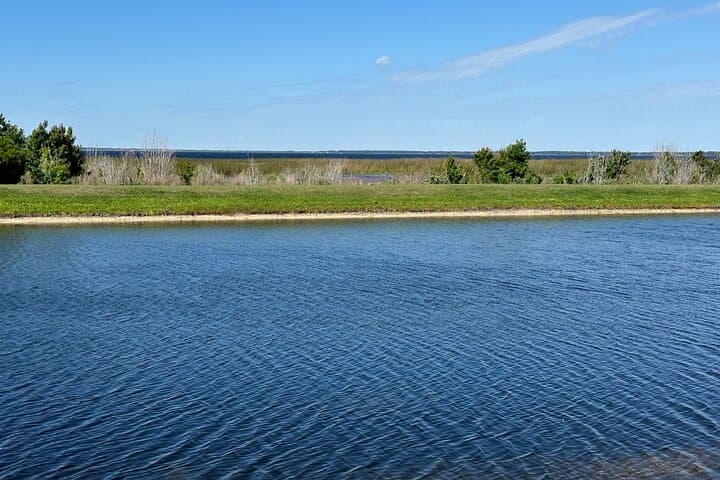 Kissimmee–St. Cloud 4-Hour Self-Guided Lakefront e-Bike Tour photo 6