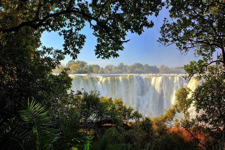 Guided Walking Tour to Victoria Falls (Zimbabwe) — 3-Hour Rainforest, Mist & Big Tree