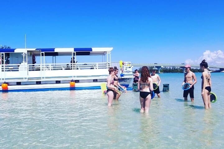 Clearwater Beach Dolphin & Sandbar Cruise — Fins Up Dolphin Watching & Island Swim photo 5