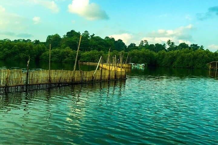 Private Sri Lanka Driver & Car: Custom Island Tours from Colombo photo 3