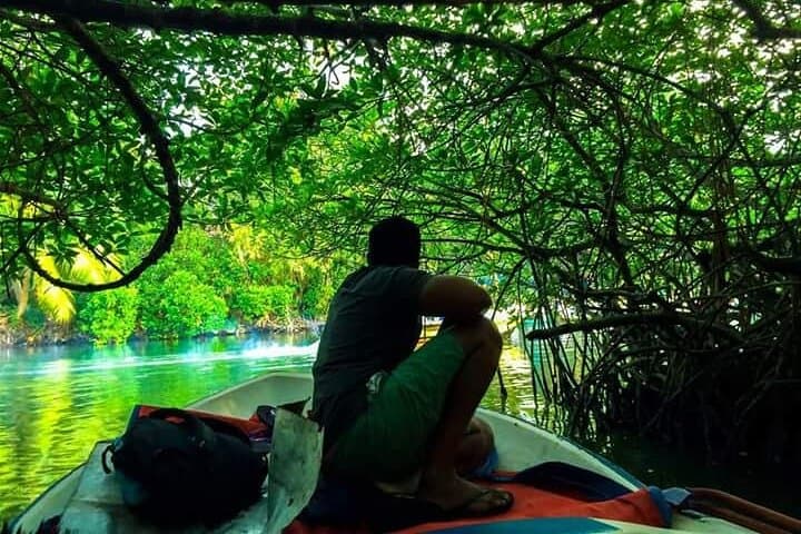 Private Sri Lanka Driver & Car: Custom Island Tours from Colombo photo 2