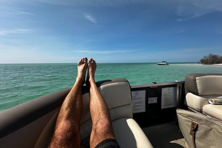 Exploring Clearwater Beach: Private Pontoon Adventures to Hidden Gulf Coast Islands photo 5