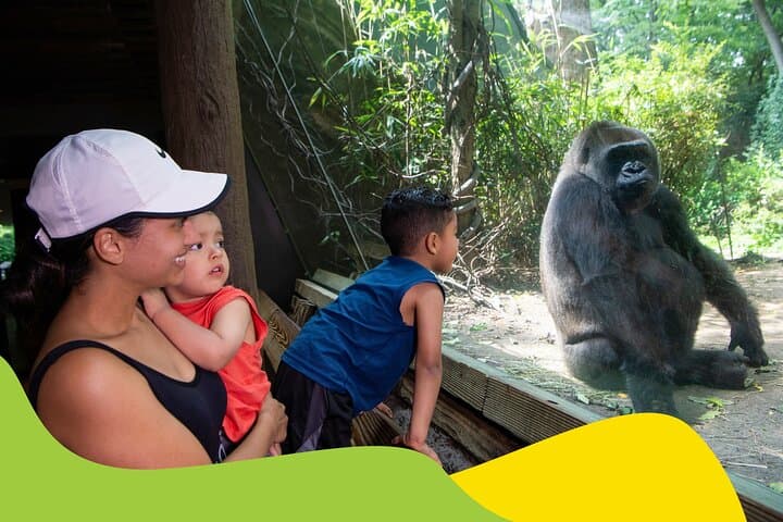Bronx Zoo Admission: Practical Guide to Visiting New York City's Wildlife Landmark photo 2