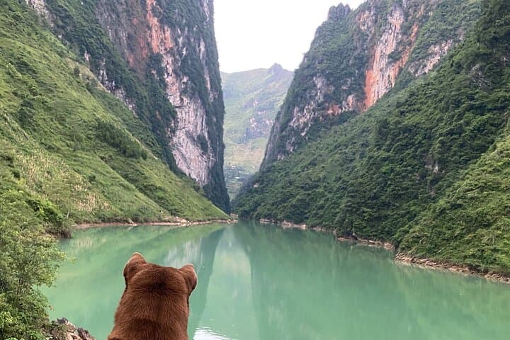 Ha Giang Loop 3-Day Adventure: Ma Pi Leng, H'mong King Palace & Du Gia Waterfall photo 3