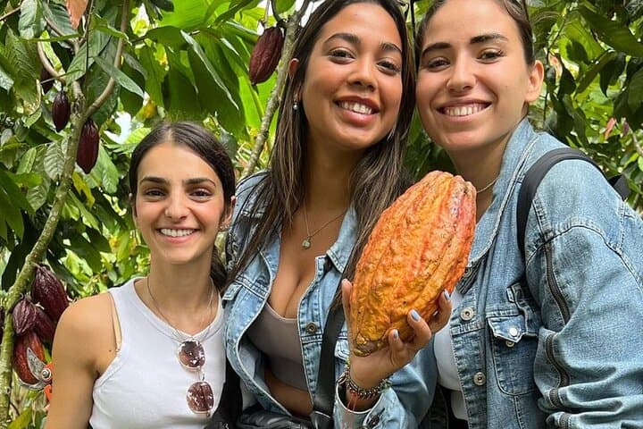 Salento, Cocora Valley & Cocoa Farm Day Tour from Pereira — Wax Palms and Chocolate photo 2