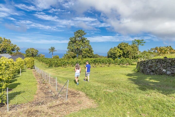 Kona Coffee & City of Refuge Tour: A Four-Hour Cultural and Coffee Immersion photo 2