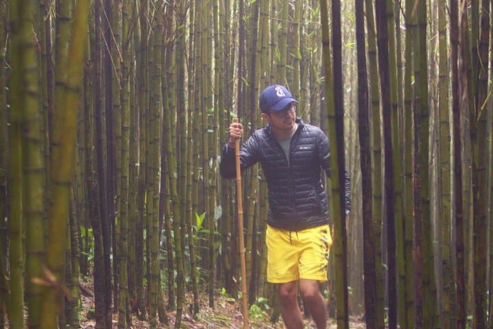 Discover Ram Tzul Natural Reserve: Rubel Chaim Waterfall & Bamboo Forest Day Tour photo 6