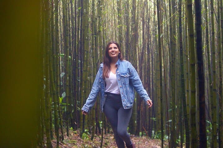 Discover Ram Tzul Natural Reserve: Rubel Chaim Waterfall & Bamboo Forest Day Tour photo 4