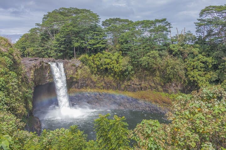 Exploring Hilo’s Botanical Gardens and Waterfalls: A Private Shore Excursion