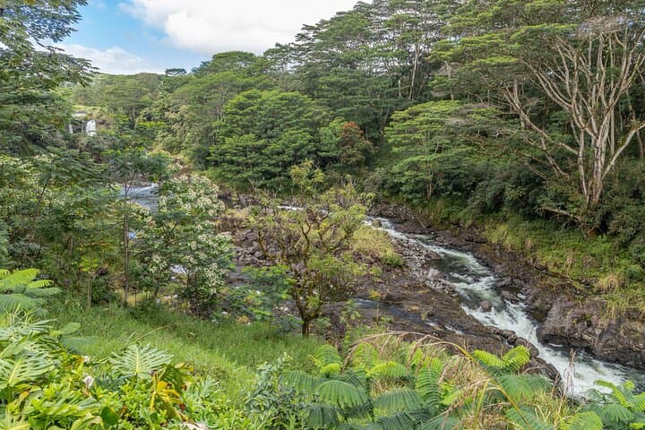 Exploring Hilo’s Botanical Gardens and Waterfalls: A Private Shore Excursion photo 3