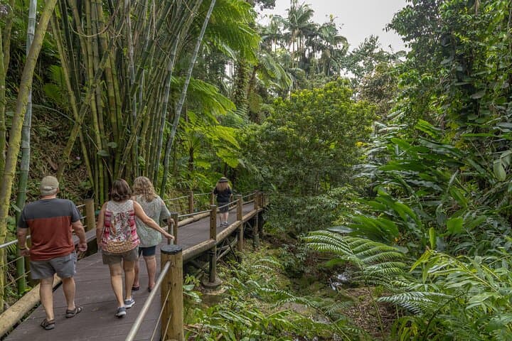 Exploring Hilo’s Botanical Gardens and Waterfalls: A Private Shore Excursion photo 5