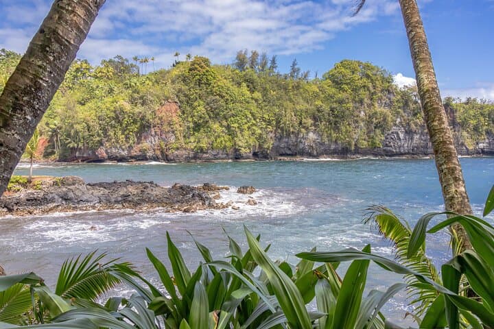 Exploring Hilo’s Botanical Gardens and Waterfalls: A Private Shore Excursion photo 6