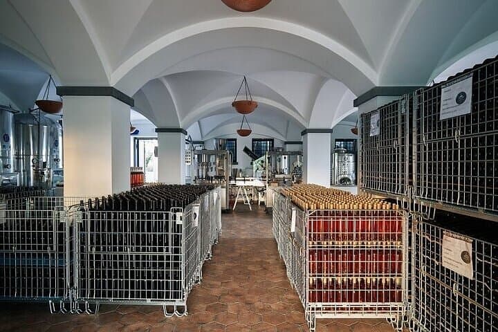 Vesuvius Vineyard Wine Tasting Tour from Naples with Lunch photo 3