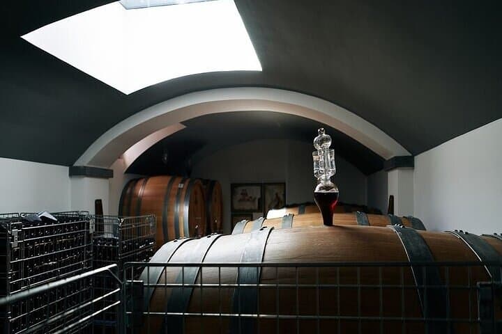 Vesuvius Vineyard Wine Tasting Tour from Naples with Lunch photo 4