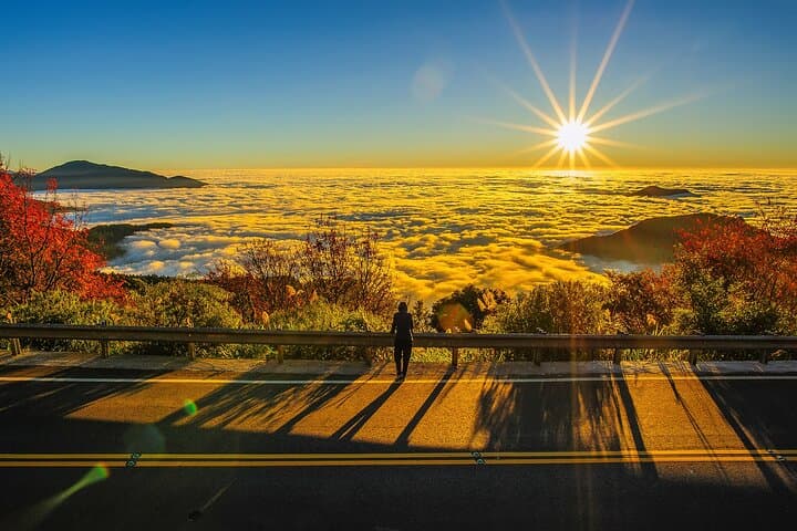 3-Day Sun Moon Lake and Alishan Private Tour — Boat Ride, Forest Train & Sunrise photo 1
