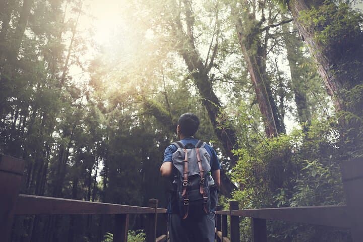 3-Day Sun Moon Lake and Alishan Private Tour — Boat Ride, Forest Train & Sunrise photo 3