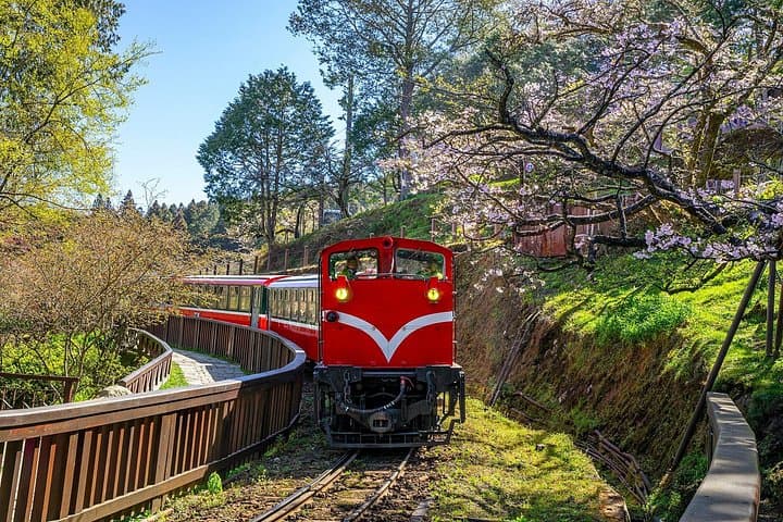 3-Day Sun Moon Lake and Alishan Private Tour — Boat Ride, Forest Train & Sunrise photo 4