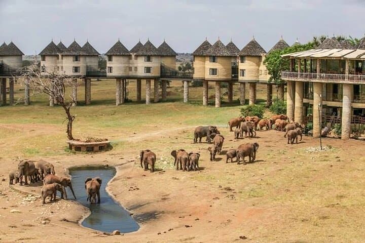 2-Day Taita Hills Saltlick Lodge Safari from Diani Beach