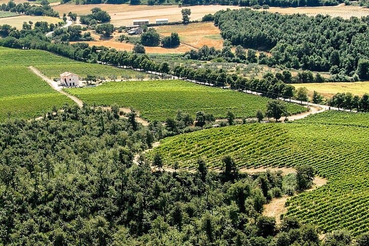 Alta Tuscia eBike Tour and Antica Cantina Leonardi Wine Tasting