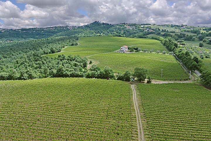 Alta Tuscia eBike Tour and Antica Cantina Leonardi Wine Tasting photo 3