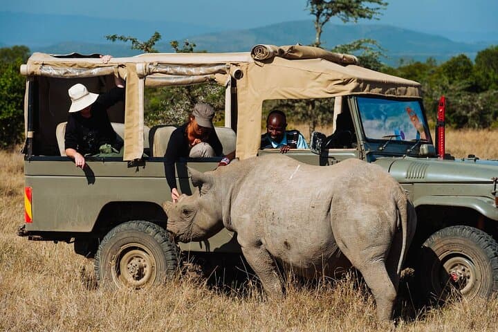 Ol Pejeta Day Tour: Sweetwaters Chimpanzee Sanctuary & Big Five Game Drive photo 4