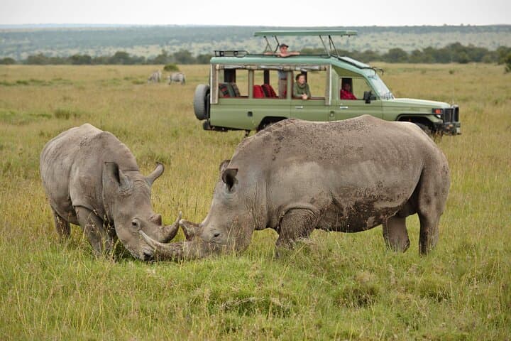 Ol Pejeta Day Tour: Sweetwaters Chimpanzee Sanctuary & Big Five Game Drive photo 2
