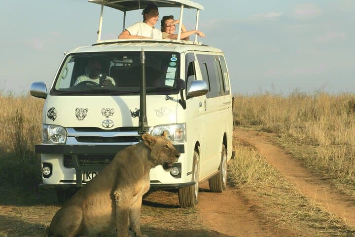 Nairobi National Park Game Drive with David Sheldrick & Giraffe Centre photo 2