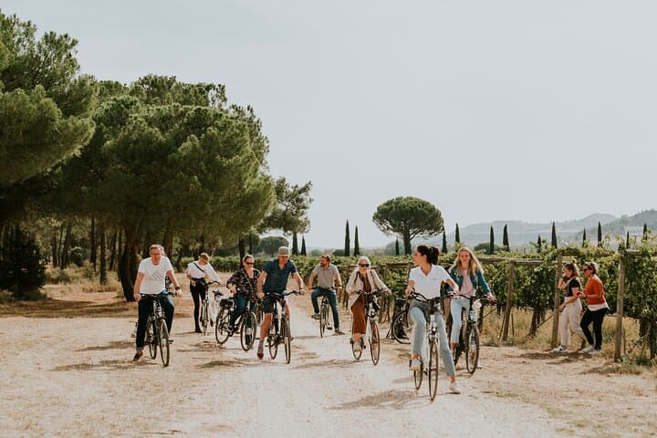 E‑Bike Winery Tour and Picnic at a Valladolid Estate