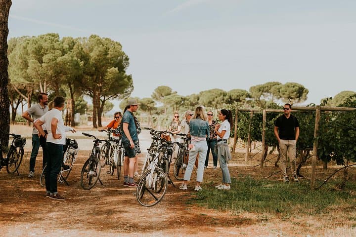 E‑Bike Winery Tour and Picnic at a Valladolid Estate photo 4