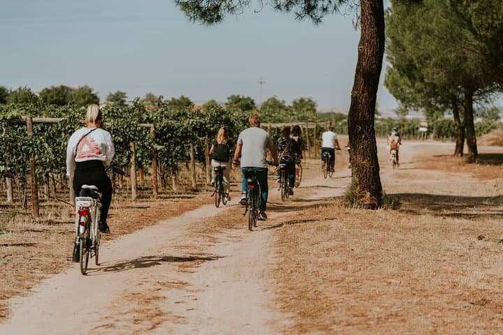 E‑Bike Winery Tour and Picnic at a Valladolid Estate photo 3