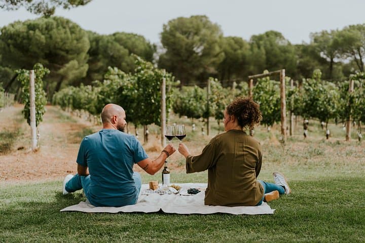 E‑Bike Winery Tour and Picnic at a Valladolid Estate photo 2