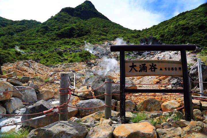 Private Customizable Tour in Hakone — Lake Ashi, Owakudani & Onsens photo 3