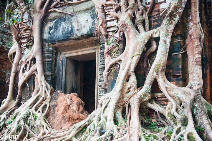 Full-Day Koh Ker and Beng Mealea Temple Adventure from Siem Reap photo 4