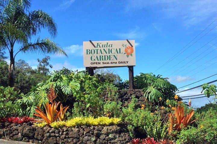Drive to Haleakala Summit: 24-Hour Maui Slingshot Tour from Kihei photo 3