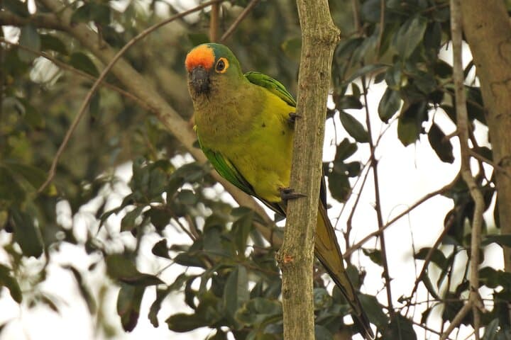 Full-Day Paraguay River Nature & Wildlife Boat Tour from Asunción photo 3